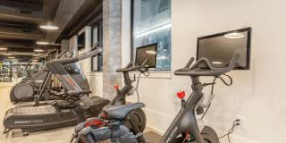 Hagert & York Gallery 31