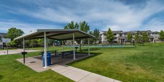 Orchard Cove Gallery 8