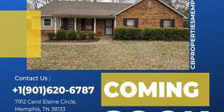 7912 Carol Elaine Gallery 1