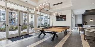 LynnCora Gallery 16