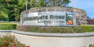 Serramonte Ridge Gallery 31