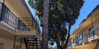 MEDA AVE. APARTMENTS Gallery 1