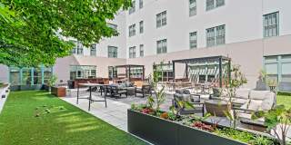 The Cosmopolitan Gallery 42