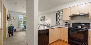 Destinations Lynnwood 61+ Active Adult Apartment Homes Gallery 80