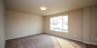 4 Bedroom Home in Wellington Gallery 18