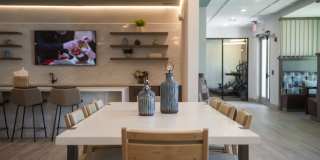 Solis Gainesville Gallery 31