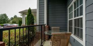 Meadow View Gallery 12