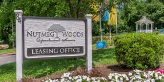 Nutmeg Woods Gallery 2