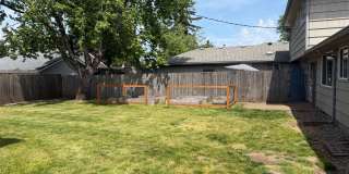 Updated 2 bedroom 1 bath duplex! Updated 2 bedroom 1 bath duplex! Gallery 31