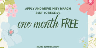 The Avenue Apartments Gallery 14