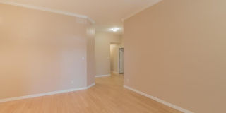 936 Whitewing Lane Gallery 11