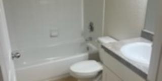 Promenade At Tampa Palms Gallery 16