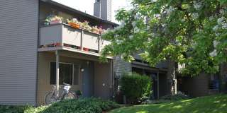 Conestoga Park Gallery 32