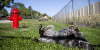 Summit Ridge Gallery 4