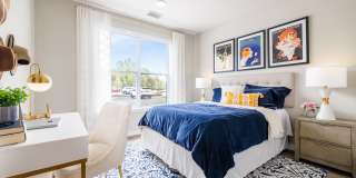 Hedges at Hawthorne Gallery 26