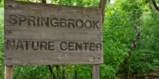 SpringBrook Gallery 34