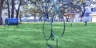 Roots at Boerne Gallery 4