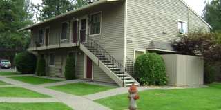 Newly Updated 1 Bed 1 Bath Condo Gallery 1