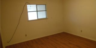 505 Buttercup Gallery 9