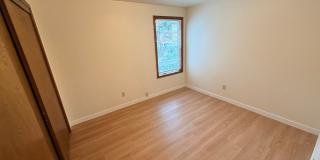 Brand New Flooring and Paint Upper Level Duplex Gallery 14