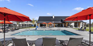 Amazon Falls Gallery 1