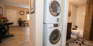 8190 Philippe Landing Gallery 6