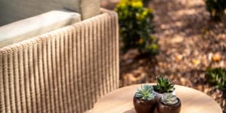 Sharon Green Gallery 34