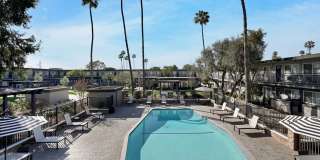 Tierra Palms Gallery 34