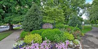 439 Thurman Avenue Gallery 57