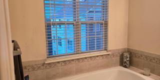 18616 POPLAR GLEN Court Gallery 38