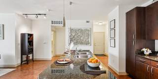 Andante at Nine Mile Station Gallery 11