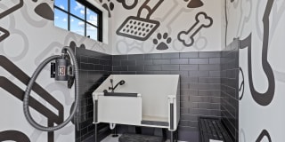 Camber Apartments Gallery 39