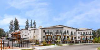 Allegro Lynwood Gallery 32