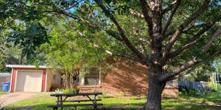 Charming South Austin Classic Charming South Austin Classic Gallery 1