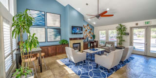 Lake Pointe Apartments Gallery 22