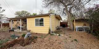 Quiet Ranch Retreat Steps from Light Rail with Finished Basement & Designer Kitchen Gallery 32