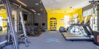 Viridian Apartments Gallery 10