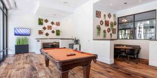 Tree Apartments Gallery 4