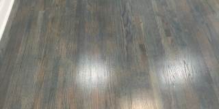 New renovation Spacious  South Shore 3bed room 1 bath units Gallery 18