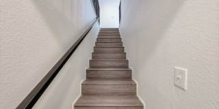 Arbor Collection Gallery 28