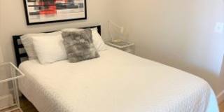 Windermere Harrowgate Gallery 6