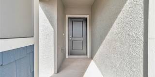 275 PUMA LOOP Gallery 3