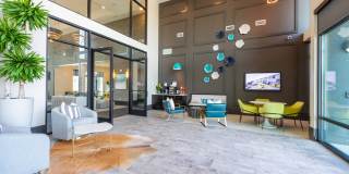 Brio Gallery 45