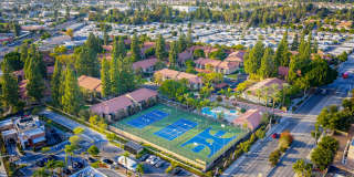 Citrus Place Gallery 47