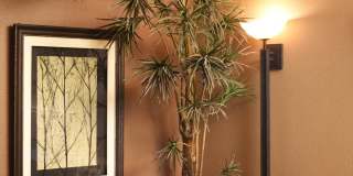 Graymayre Crossing Gallery 7