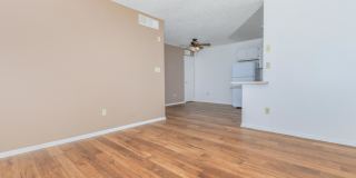 The Palisades Gallery 5