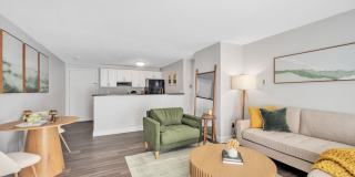 The Meadows Gallery 27