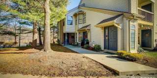 203 Sunshine Ct Court Gallery 1