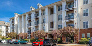 21216 MCFADDEN Square Gallery 3