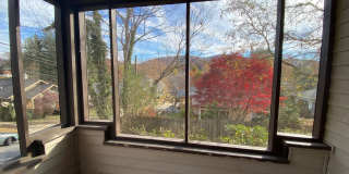 North AVL - Renovated 1920's Home with Separate 1/1 Apartment! Gallery 65